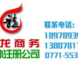 广西南宁市九龙商务服务有限责任公司