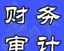2017财务审计报告模板