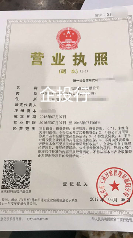 XX（北京）电影投资有限公司