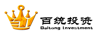 上海百统投资有限公司