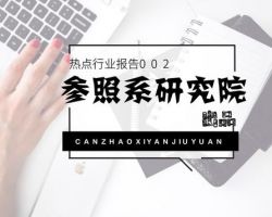 2017年“人工智能”产业发展研究报告（含部分关联企业介绍）