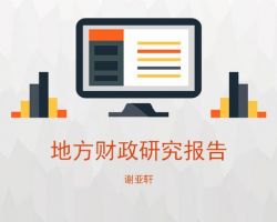 2017年中国地方财政研究报告