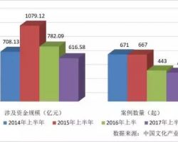 2017年中国文化娱乐产业创业与投资研究报告（上半年）