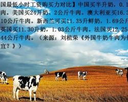2017年全球工资研究报告