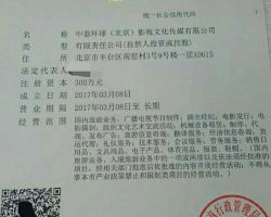 中泰环球（北京）影视文化传媒有限公司