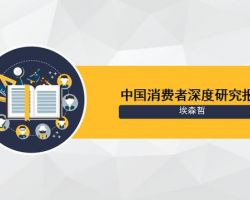 2017年中国消费者调研报告