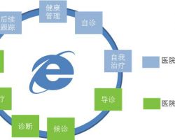 2017年互联网医疗行业发展研究报告（德勤）