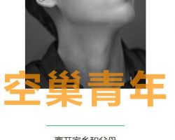 2017年中国都市单身青年生存现状调研报告（最新）