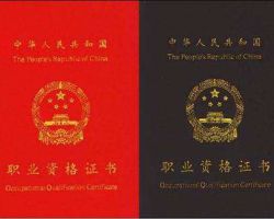 国家心理咨询师