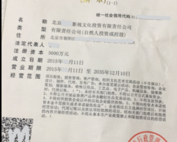 北京影视文化投资有限公司