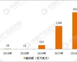 2018年中国ICO行业市场前景研究报告