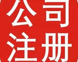 长沙公司注册登记入口