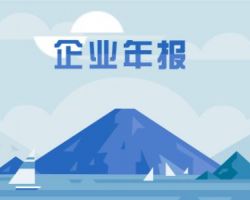 企业年报