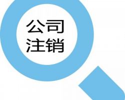 “公司注销”/