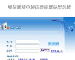 电信业务市场综合管理信息系统入口
