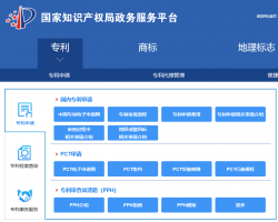 知识产权网上办事入口默认相册