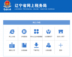 辽宁省网上税务局办事入口默认相册