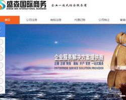 盛森国际商务