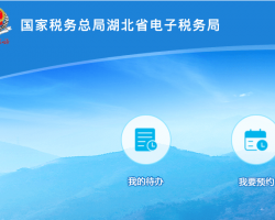 湖北省电子税务局登录入口