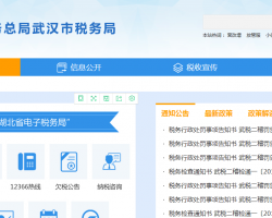 武汉市蔡甸区税务局