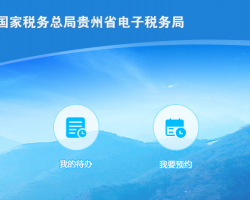 贵州省电子税务局登录入口