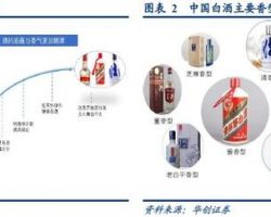 2019年中国酱香型白酒行业报告