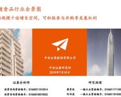中国保健食品行业研究报告