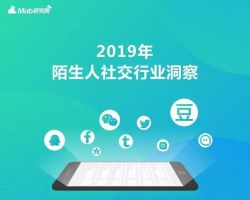 2019年陌生人社交行业调研报告