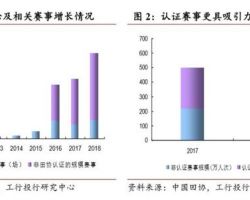 2019年中国马拉松运动发展报告
