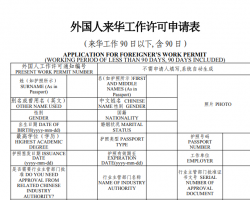 外国人来华工作许可申请表