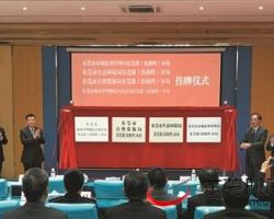 东莞市市场监督管理局凤岗分局默认相册