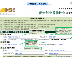 青年创业援助计划申请表（有限公司）