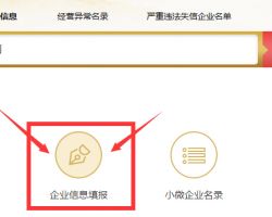 市场主体年度报告公示信息更正申请表