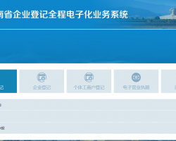 湖南省企业登记全程电子化业务系统入口