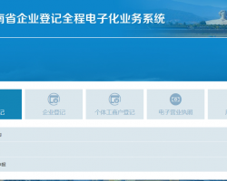 湖南省企业登记全程电子化业务系统入口默认相册