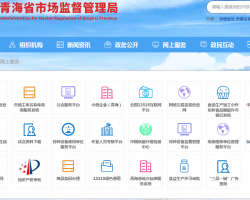 青海省企业登记全程电子化平台入口