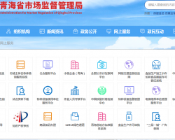 青海省市场监督管理局网上办事大厅入口默认相册