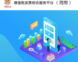 海南省增值税发票综合服务平台登录入口