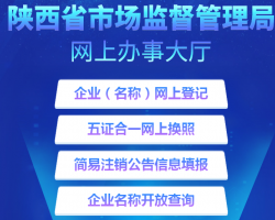 陕西省市场监督管理局网上办事大厅入口默认相册