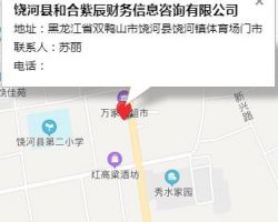 饶河县和合紫辰财务信息咨询有限公司