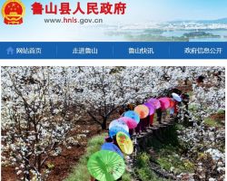 鲁山县行政服务中心默认相册