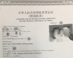 外国人收养登记