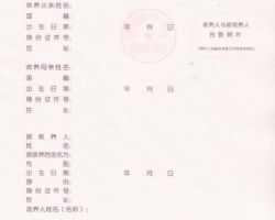 华侨、香港、澳门、台湾收养三代以内旁系血亲子女登记