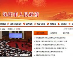 沁阳市政务服务和大数据管理局默认相册