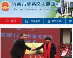 济南市莱芜区医疗保障局默认相册