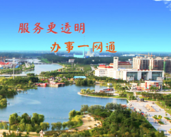 单县政务服务中心默认相册