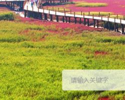 盘锦市政务服务中心