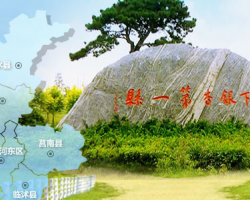 郯城县政务服务中心