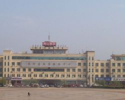 齐河县政务服务中心默认相册