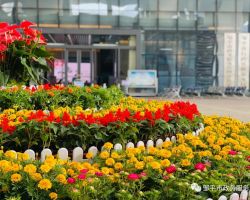 邹平市政务服务中心